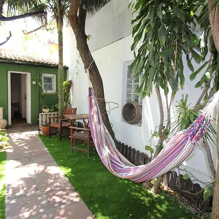 Acacias 2*