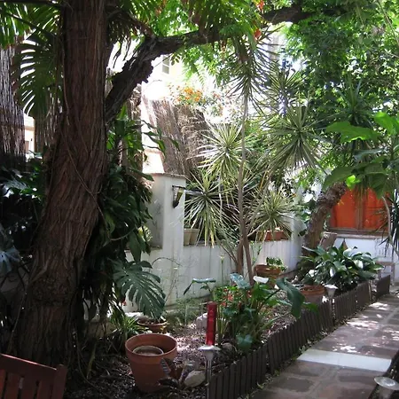 Acacias 2*