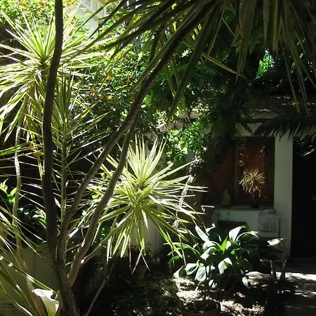 Acacias 2* Málaga